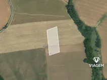 Prodej pole, Petroupim, 7931 m2