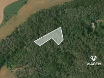 Prodej podílu lesa, Hrdlív, 807 m2