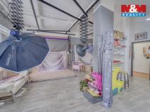 Pronájem obchodního prostoru, Plzeň - Východní Předměstí, Šafaříkovy sady, 146 m2