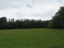 Dražba lesa, Hrabišín, 23811 m2