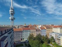 Prodej bytu 2+kk, Praha - Žižkov, Bořivojova, 41 m2