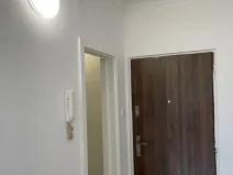 Pronájem bytu 1+kk, Ostrov, Kollárova, 20 m2