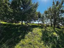 Prodej zahrady, Kyjov, 1046 m2