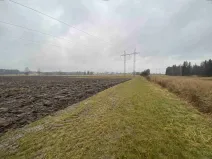 Dražba louky, Ždírec nad Doubravou, 3034 m2