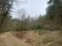 Prodej lesa, Miloňovice - Sudkovice, 2768 m2