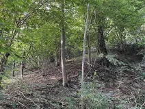 Prodej pozemku, Útěchov, 50152 m2