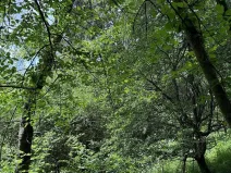 Prodej podílu pozemku, Suchdol, 9027 m2