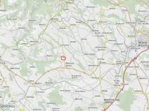 Prodej lesa, Mělnické Vtelno, 14454 m2