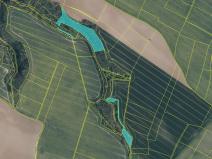 Prodej lesa, Mělnické Vtelno, 14092 m2