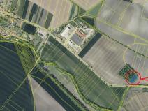 Prodej lesa, Děčany, 1581 m2