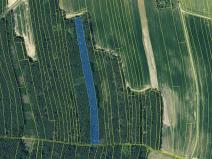 Prodej lesa, Hromnice, 20955 m2