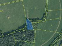 Prodej podílu lesa, Malenice, 3819 m2