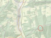 Prodej podílu lesa, Valašská Polanka, 1343 m2