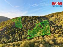 Prodej lesa, Ústí nad Labem - Sebuzín, 23067 m2