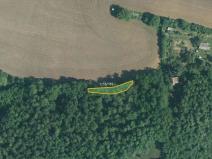 Prodej lesa, Ivančice, 1601 m2