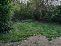 Prodej zahrady, Brno, 794 m2