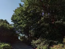 Prodej podílu lesa, Luhačovice, 852931 m2