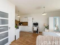 Pronájem bytu 2+kk, Plzeň, V Malé Doubravce, 55 m2