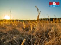 Prodej pozemku pro bydlení, Nová Ves, 1098 m2