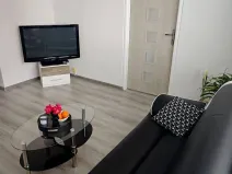 Prodej bytu 2+1, České Budějovice, L. M. Pařízka, 50 m2