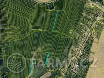 Prodej pole, Kožušice, 21480 m2