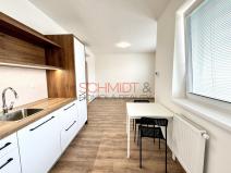 Pronájem bytu 1+kk, Hustopeče, Alejní, 30 m2