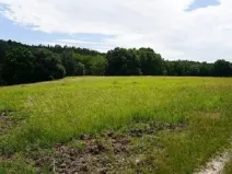Dražba louky, Dubá, 772 m2