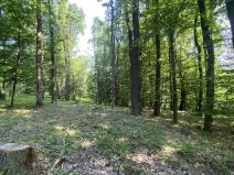 Prodej lesa, Roštění, 2228 m2