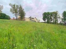 Prodej pozemku, Králíky - Dolní Hedeč, 25968 m2