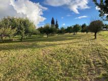 Prodej pozemku, Prostějovičky, 726 m2