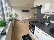 Prodej bytu 1+kk, Praha - Karlín, Nekvasilova, 30 m2