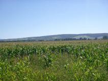 Dražba pozemku pro bydlení, Lipov, 2364 m2