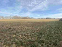 Dražba pozemku, Trstěnice, 1109 m2