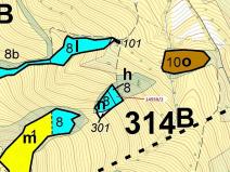 Dražba lesa, Hovězí, 605 m2