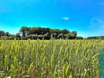 Prodej pozemku pro bydlení, Chropyně, 1061 m2