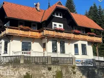 Dražba vily, Janské Lázně, Horní promenáda, 307 m2