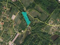 Dražba lesa, Petrovice u Karviné, 14718 m2