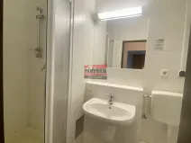 Pronájem bytu 1+kk, Lštění, Míru, 20 m2