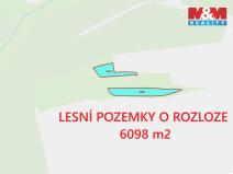 Prodej lesa, Močerady - Nové Dvory, 6098 m2