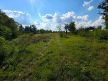 Prodej pozemku pro bydlení, Krušovice, 2750 m2