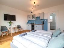 Pronájem bytu 1+kk, Praha - Vinohrady, Perucká, 27 m2