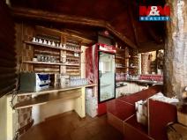 Pronájem restaurace, Ostrava - Vítkovice, Ruská, 295 m2