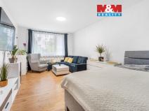 Prodej bytu 2+1, Ústí nad Labem - Klíše, Klíšská, 63 m2