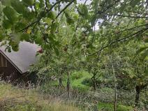 Prodej pozemku pro bydlení, Vysoké Mýto, Vinice, 1447 m2