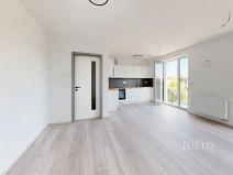 Pronájem bytu 2+kk, České Budějovice, Ant. Janouška, 47 m2