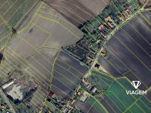 Prodej podílu pole, Bělušice, 276 m2