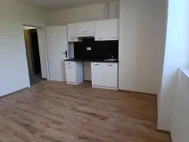 Pronájem bytu 1+kk, Praha - Břevnov, Na břevnovské pláni, 30 m2