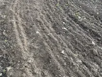 Prodej pole, Radostín nad Oslavou, 20836 m2