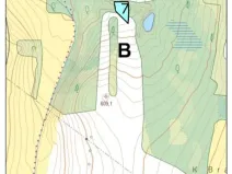 Prodej lesa, Vyskytná, 665 m2