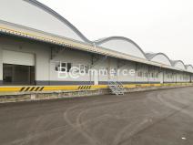 Pronájem skladu, Holubice, 1124 m2